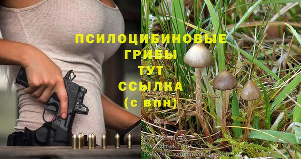 мяу мяу кристалл Козловка
