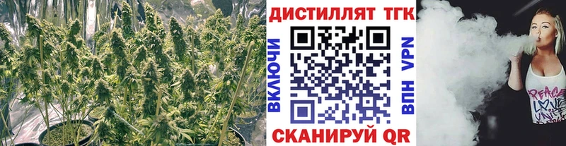 ТГК вейп  Купить где  Богородицк 