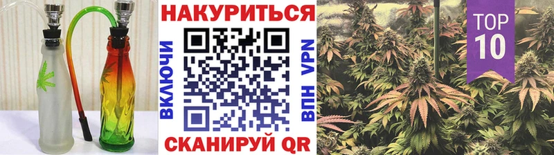 Купить где  Богородицк  Марихуана план 